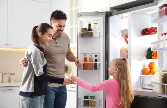 Ankastre Buzdolabi 2