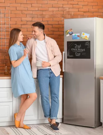 derin dondurucu fiyatları