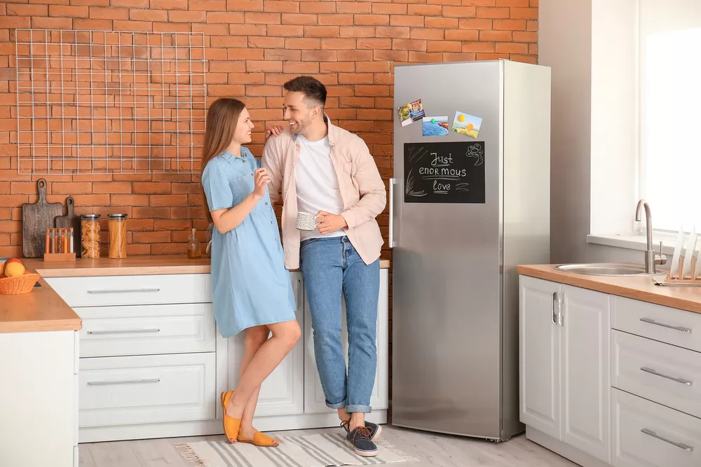 electrolux derin dondurucu fiyatları