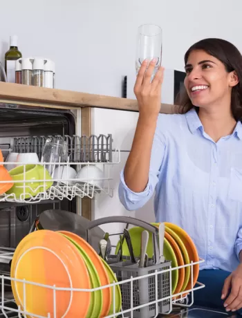 esty bulaşık makineleri