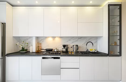 Esty Bulasik Makinesi 1