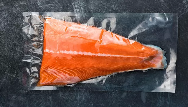 teka vakum makinesi modelleri